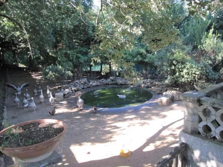فيلا Parco Delle Streghe سكارلينو المظهر الخارجي الصورة