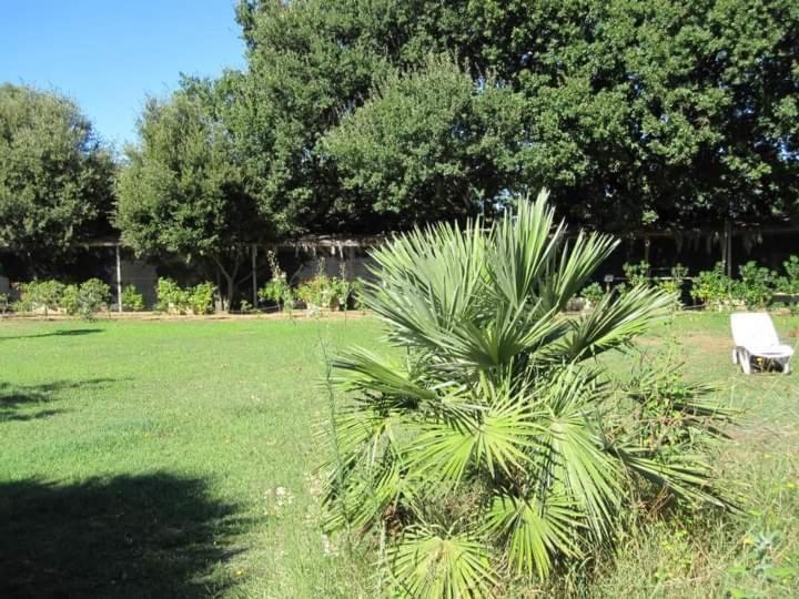فيلا Parco Delle Streghe سكارلينو المظهر الخارجي الصورة