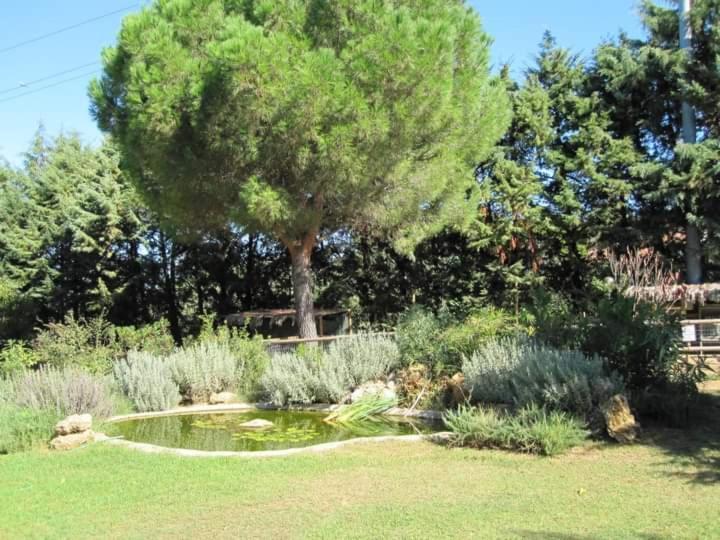 فيلا Parco Delle Streghe سكارلينو المظهر الخارجي الصورة
